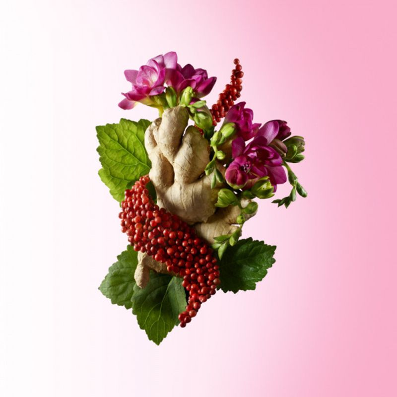 Molton Brown Fiery Pink Pepper Hand Cream 40ml